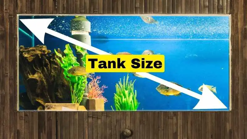 Fish Tank Heaters