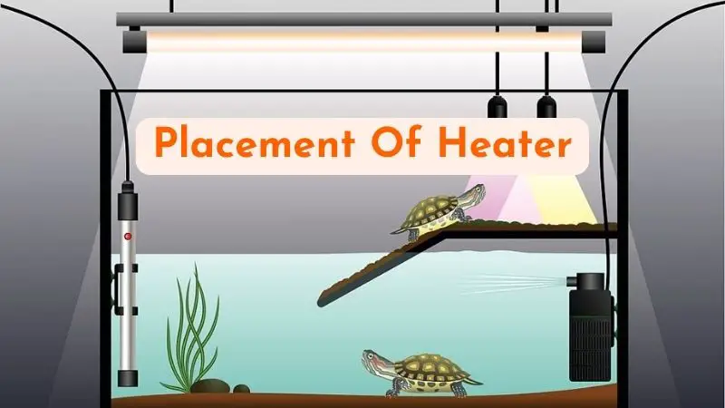 Fish Tank Heaters