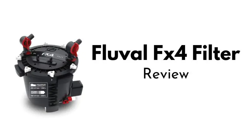 Fluval Fx4