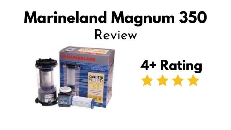 Marineland Magnum 350 Canister Filter Review