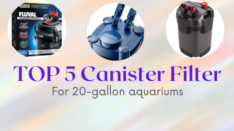 Top 5 Canister Filters For 20-Gallon Aquariums (Detailed Review) 2023