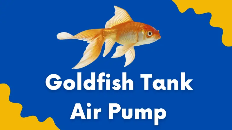 Goldfish aquarium air pump